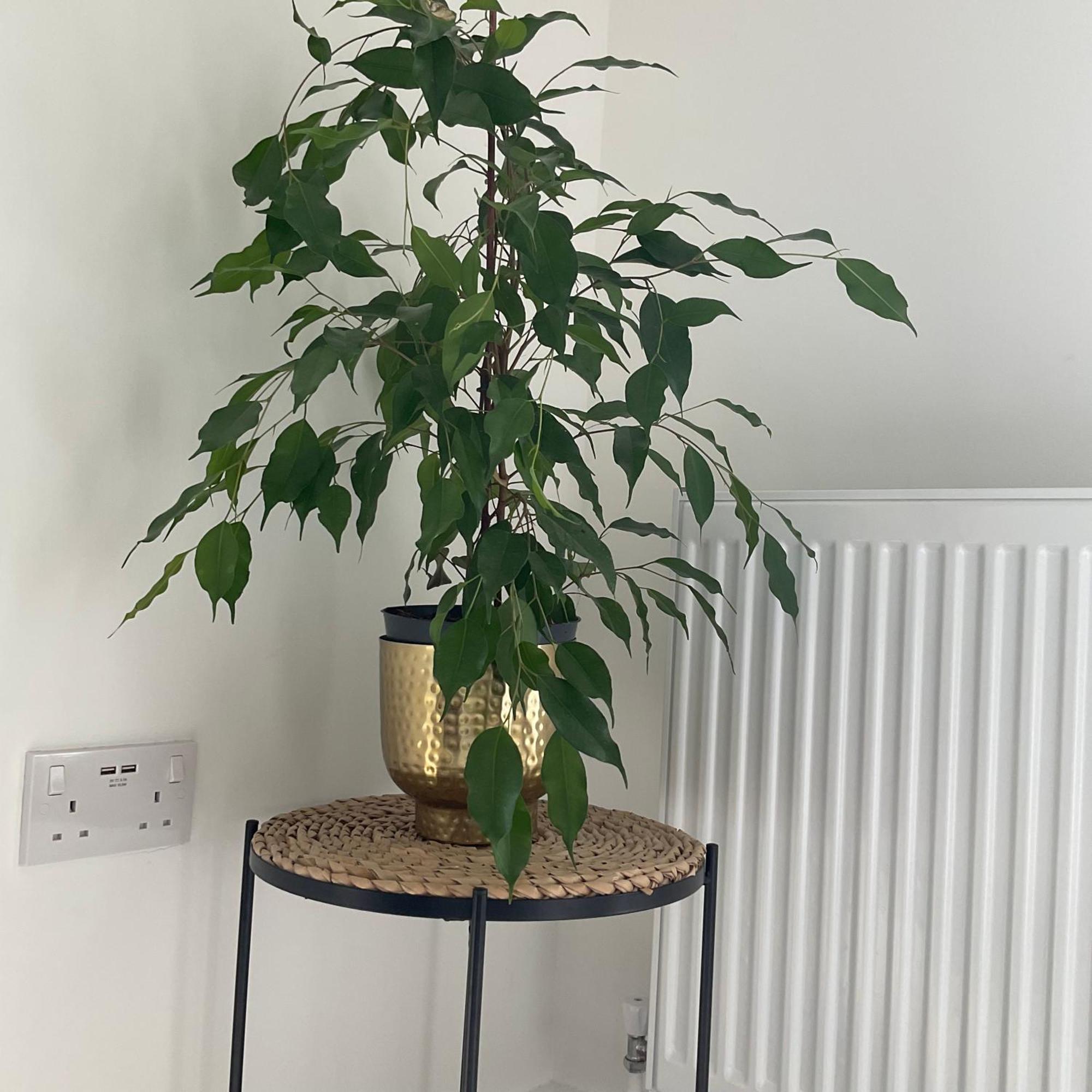 The Parkes A Stylish 3Br House, 5 Mins From Central Birmingham Close To The Edgbaston Stadium, The Hippodrome, Uob, Aston And Bcu, China Town, Kings Heath Bhx Airport And Much More Kültér fotó